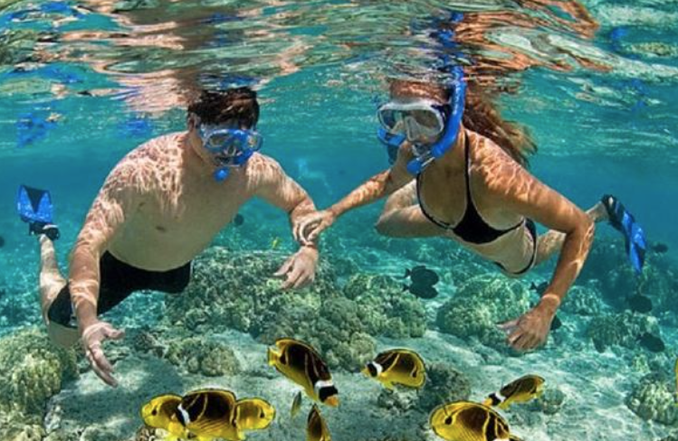 Best Beaches For Snorkeling In Puerto Rico Luquillo Beach