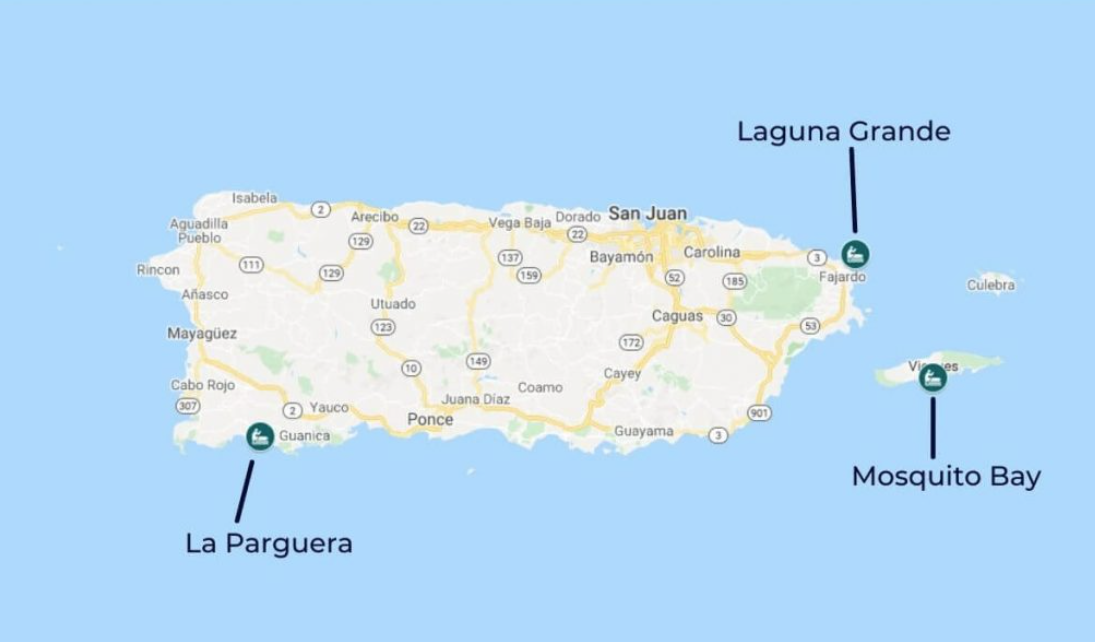 Bioluminescent Bay Tours In Puerto Rico