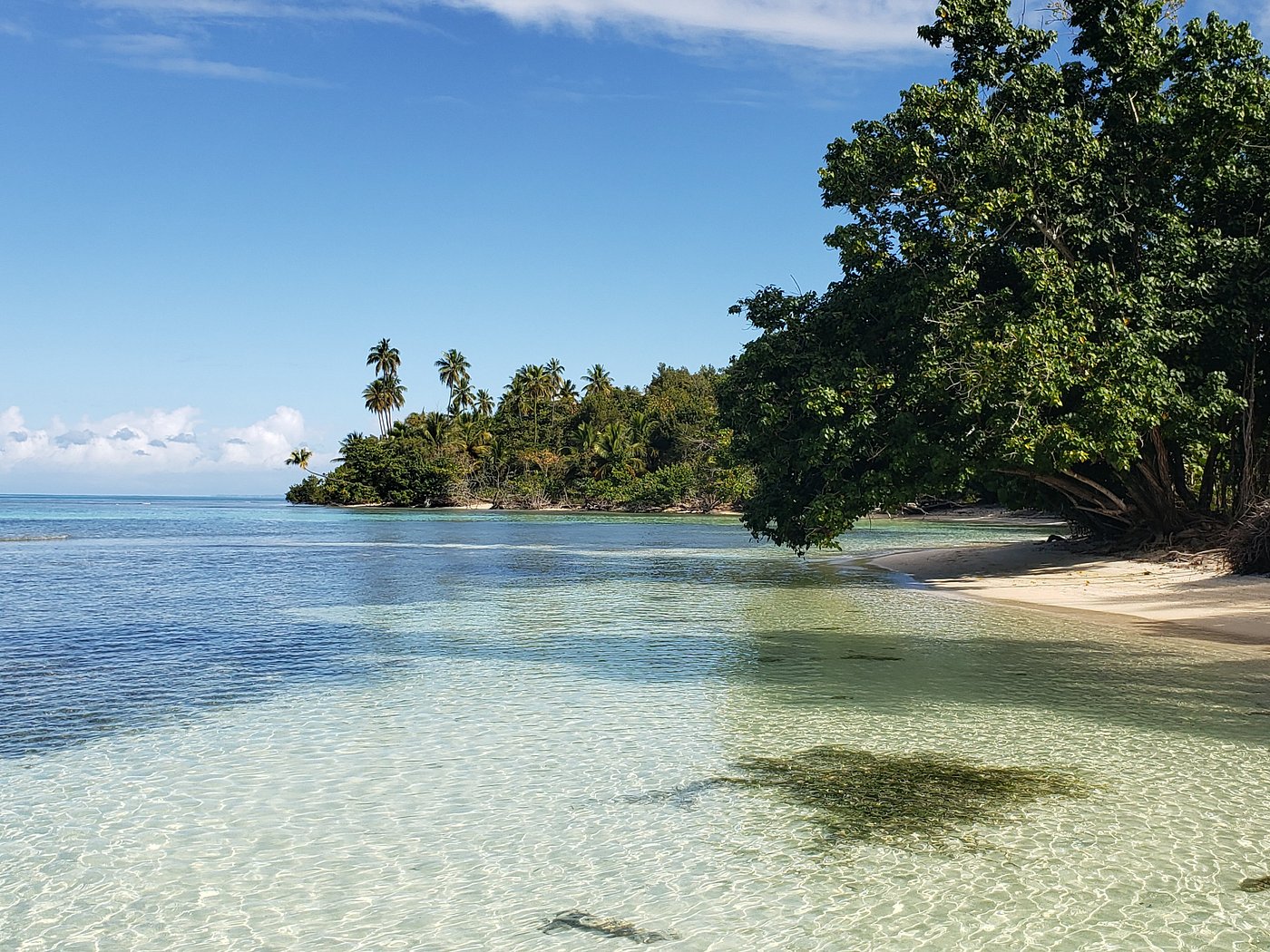 Buye Beach Cabo Rojo Puerto Rico Shade