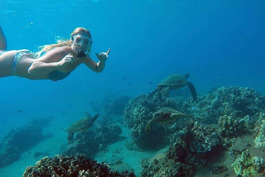 Luquillo Beach Snorkeling Activities Puerto Rico